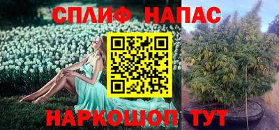 тгк Будённовск