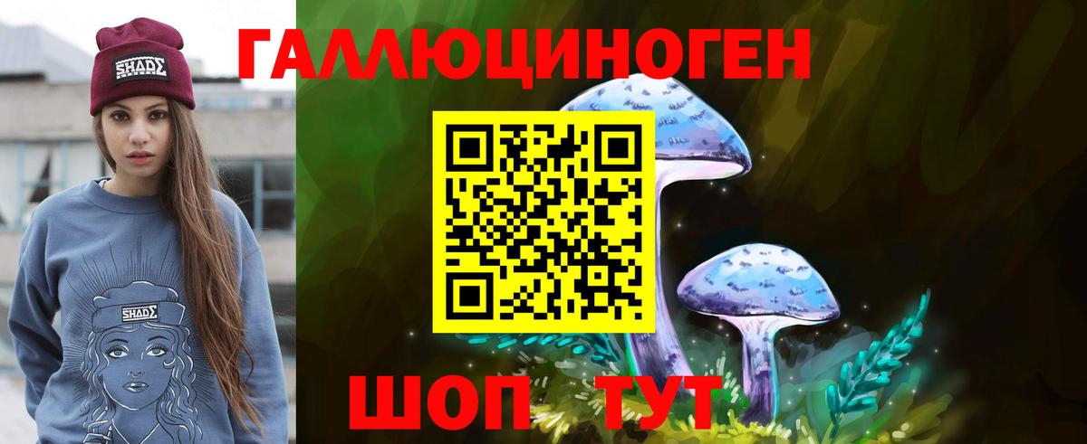 Галлюциногенные грибы Cubensis Пермь