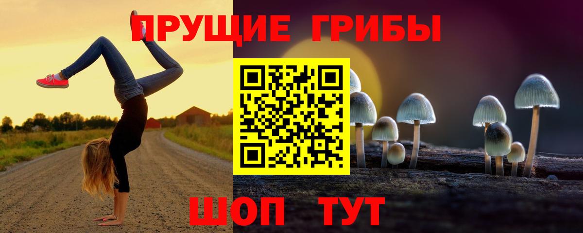 Галлюциногенные грибы мицелий  Вход с VPN  Галлюциногенные грибы мицелий  Пермь 
